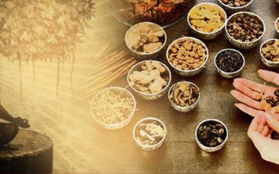 Koken met Kruiden of met Energie?