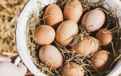 De gezondheidsvoordelen van eitjes in een gezond en fit leven